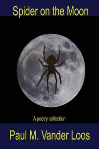Produktbild: Spider on the Moon
