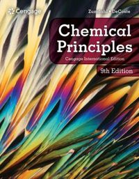 Produktbild: DeCoste, D: Chemical Principles, Cengage International Editi