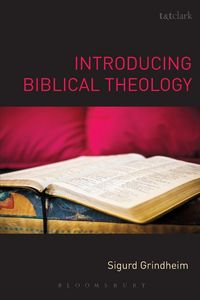 Produktbild: Introducing Biblical Theology