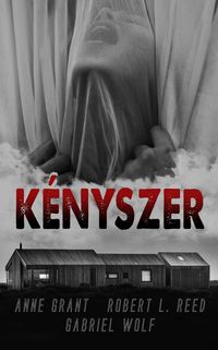 Produktbild: K&eacute;nyszer