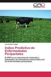Produktbild: Indice Predictivo de Enfermedades Peripartales
