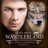 Bild vom Artikel Wandlerland, Episode 24 - Fantasy-Serie vom Autor Amber Auburn