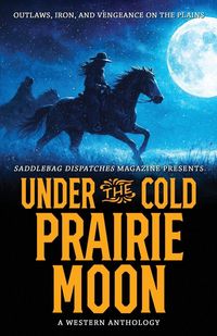 Produktbild: Under the Cold Prairie Moon