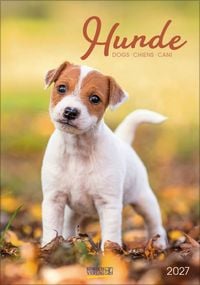 Produktbild: Hunde 2027