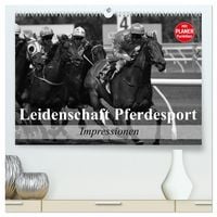 Produktbild: Leidenschaft Pferdesport - Impressionen (hochwertiger Premium Wandkalender 2026 DIN A2 quer), Kunstdruck in Hochglanz