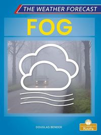 Produktbild: Fog