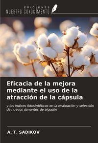 Produktbild: Eficacia de la mejora mediante el uso de la atracci&oacute;n de la c&aacute;psula
