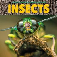 Produktbild: Insects