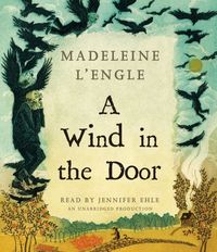 Produktbild: WIND IN THE DOOR            5D