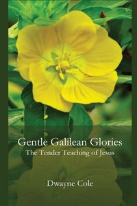 Produktbild: Gentle Galilean Glories