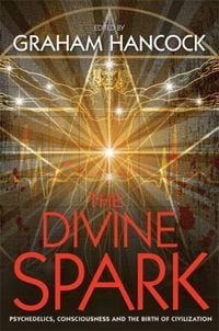 Produktbild: The Divine Spark