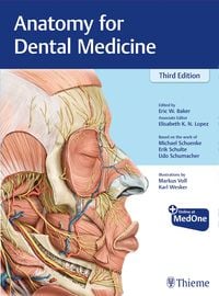 Bild vom Artikel Anatomy for Dental Medicine vom Autor Michael Schuenke