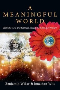Produktbild: A Meaningful World