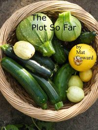 Produktbild: The Plot So Far