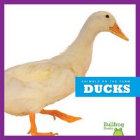 Produktbild: Ducks