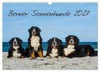 Produktbild: Berner Sennenhund 2027 (Wandkalender 2027 DIN A3 quer), CALVENDO Monatskalender