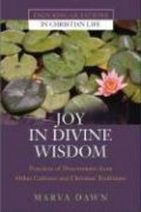 Produktbild: Joy in Divine Wisdom: Practices of Discernment from Other Cultures and Christian Traditions