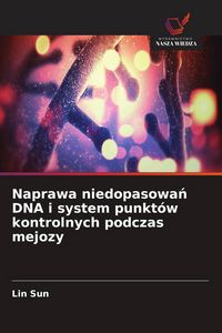 Produktbild: Naprawa niedopasowa&iquest; DNA i system punkt&oacute;w kontrolnych podczas mejozy