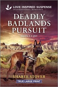 Produktbild: Deadly Badlands Pursuit