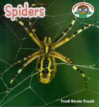 Produktbild: Spiders