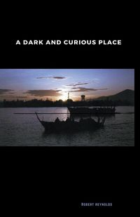 Produktbild: A Dark and Curious Place