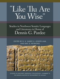 Produktbild: 'Like 'Ilu Are You Wise'