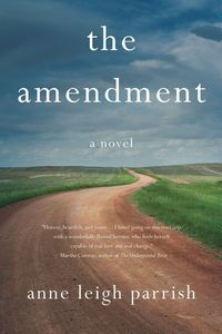 Produktbild: The Amendment