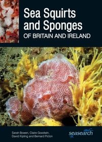 Produktbild: Sea Squirts and Sponges of Britain and Ireland