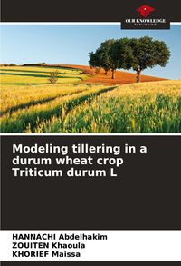 Produktbild: Modeling tillering in a durum wheat crop Triticum durum L