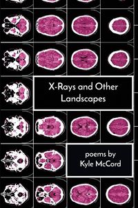 Produktbild: X-Rays and Other Landscapes