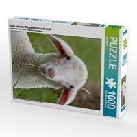 Produktbild: CALVENDO Puzzle Ein Lamm der Rasse Merinolandschafe | 1000 Teile Lege-Gr&ouml;&szlig;e 64x48cm Foto-Puzzle f&uuml;r gl&uuml;ckliche Stunden