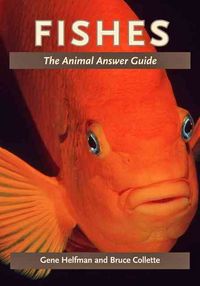Produktbild: Fishes