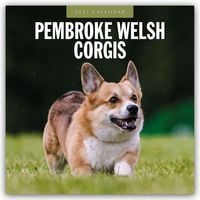 Produktbild: Pembroke Welsh Corgis &ndash; Pembroke Welsh Corgi 2027 &ndash; 16-Monatskalender