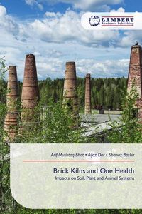 Produktbild: Brick Kilns and One Health