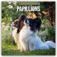 Produktbild: Papillons &ndash; Schmetterlingshund &ndash; Zwergspaniel 2027 &ndash; 16-Monatskalender