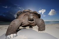Produktbild: Wildlife Photographer of the Year