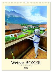 Produktbild: Wei&szlig;er BOXER im Urlaub (Wandkalender 2026 DIN A3 hoch), CALVENDO Monatskalender