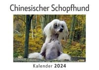 Produktbild: Chinesischer Schopfhund (Wandkalender 2024, Kalender DIN A4 quer, Monatskalender im Querformat mit Kalendarium, Das perfekte Geschenk)