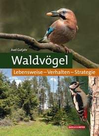 Produktbild: Waldv&ouml;gel