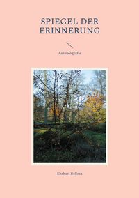 Produktbild: Spiegel der Erinnerung