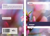 Produktbild: Neubeginn