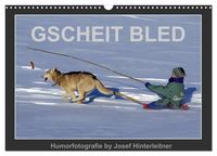 Produktbild: GSCHEIT BLED - Humorfotografie (Wandkalender 2026 DIN A3 quer), CALVENDO Monatskalender