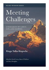 Produktbild: Meeting Challenges
