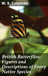 Produktbild: British Butterflies: Figures and Descriptions of Every Native Species