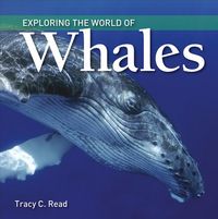 Produktbild: Exploring the World of Whales