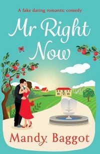 Produktbild: Mr Right Now