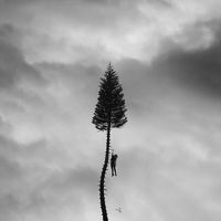 Produktbild: Manchester Orchestra: Black Mile To The Surface