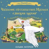 Produktbild: Chudesnoe puteshestvie Nilsa s dikimi gusyami