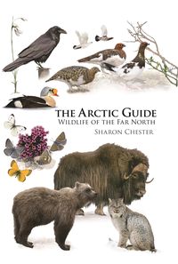 Produktbild: The Arctic Guide