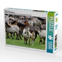 Produktbild: CALVENDO Puzzle D&uuml;lmener Wildpferde mit Stute und Fohlen | 1000 Teile Lege-Gr&ouml;&szlig;e 64x48cm Foto-Puzzle f&uuml;r gl&uuml;ckliche Stunden
